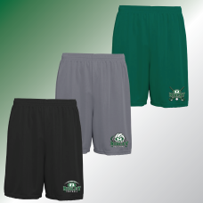 Ridley Fall Sports Mesh Shorts